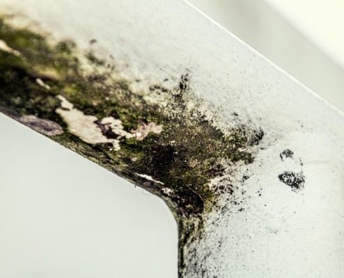Schimmel im Zimmer